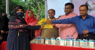 ঝিনাইদহে ৭০ জন সংগ্রামী মাকে সম্মাননা প্রদান