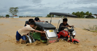 মিশরে সড়ক দুর্ঘটনায় ৮ শিশু শ্রমিক নিহত