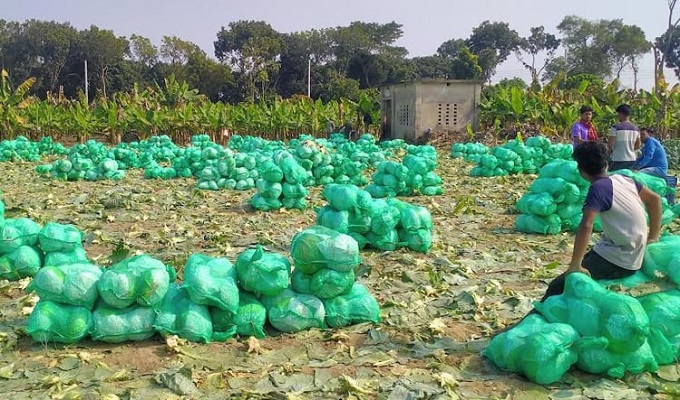 সংগৃহীত ছবি