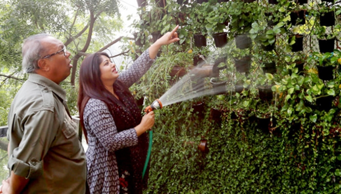 মৌসুমীর ছাদবাগান