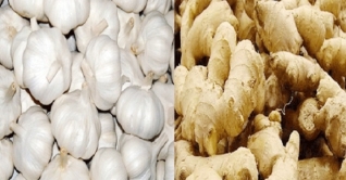 করোনাভাইরাসের প্রভাবে দাম বেড়েছে আদা, রসুনের