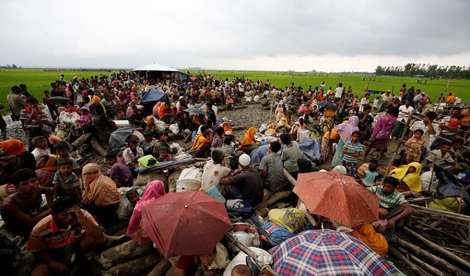 ফাইল ছবি