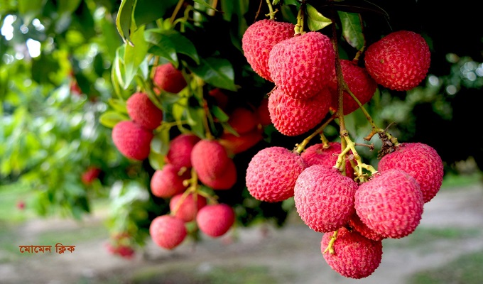 প্রতীকী ছবি