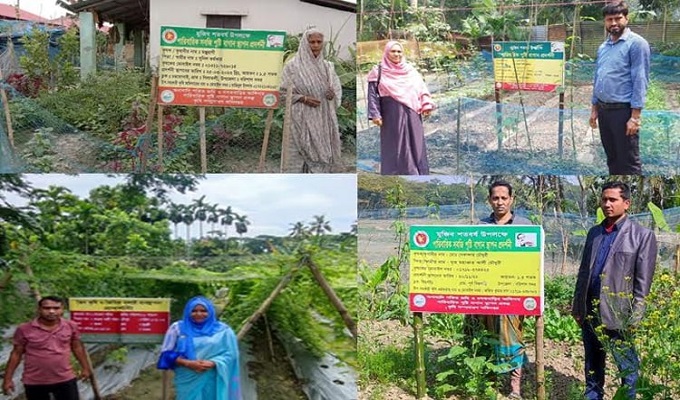 বরিশালে পারিবারিক সবজি বাগান, বদলে গেছে জীবন