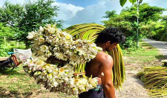 সংগৃহীত ছবি
