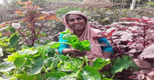 জয়পুরহাটে নিরাপদ সবজি চাষে মনোয়ারার জয়