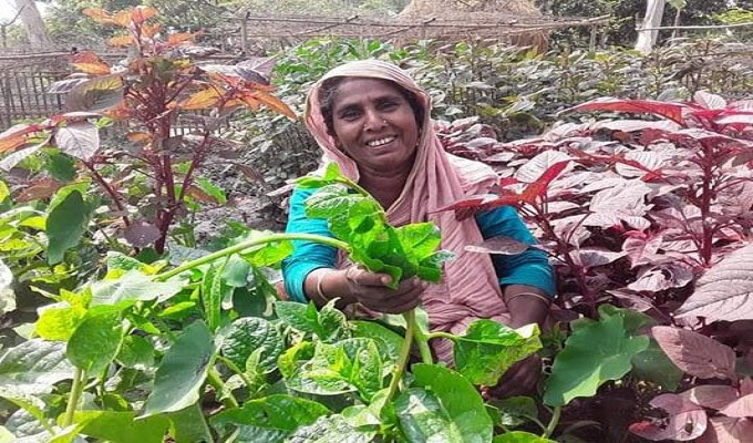 সংগৃহীত ছবি