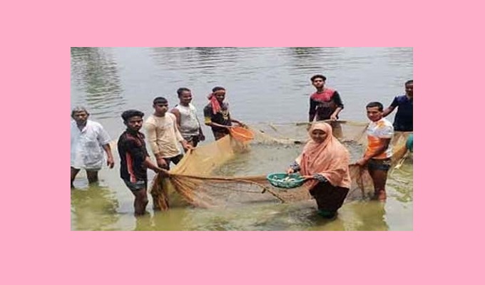 সংগৃহীত ছবি