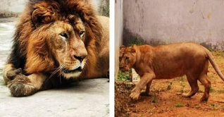 `আকবর` ও `সীতা`র নাম বদলের নির্দেশ কোলকাতা আদালতের