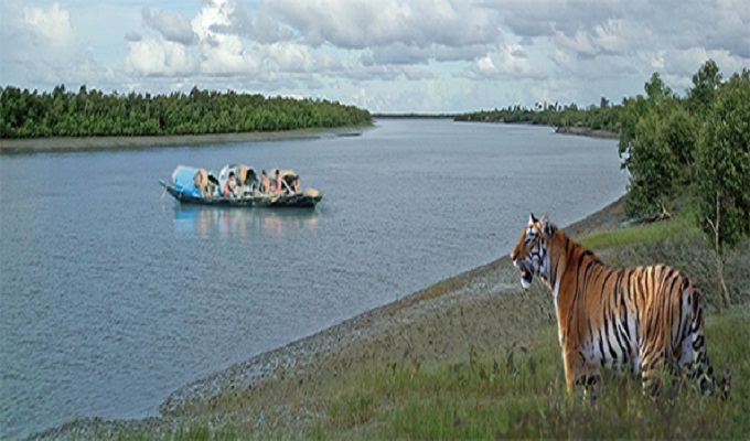 সুন্দরবন