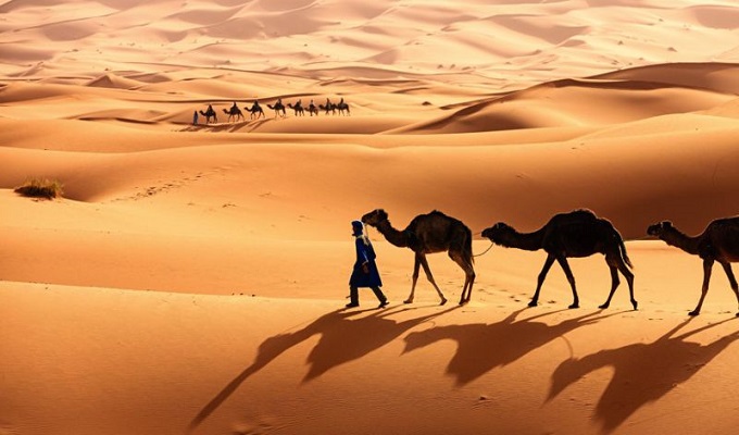 আরব এলাকা ছিল বেদুইন যাযাবরের নানা গোষ্ঠীর বিচরণ ক্ষেত্র, যারা অনেকটা স্বাধীনভাবে থাকতেন।