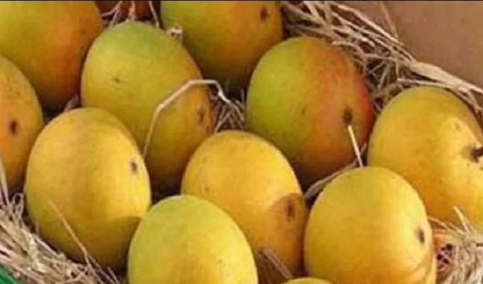 ফাইল ছবি।