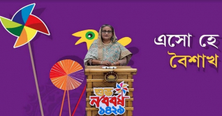 মেগা প্রকল্পগুলো শেষ হলে দেশের অর্থনীতি বদলে যাবে:প্রধানমন্ত্রী