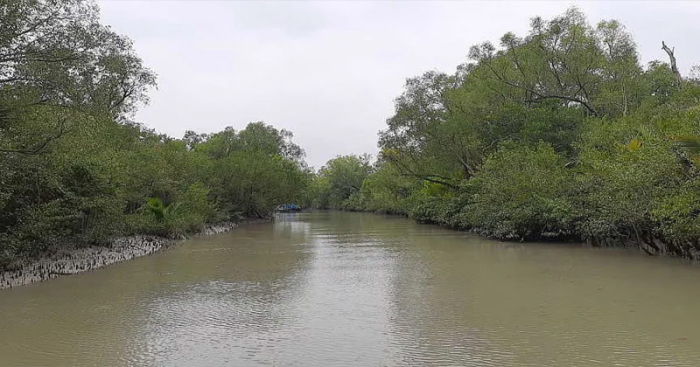 ছবি: সংগ্রহিত।