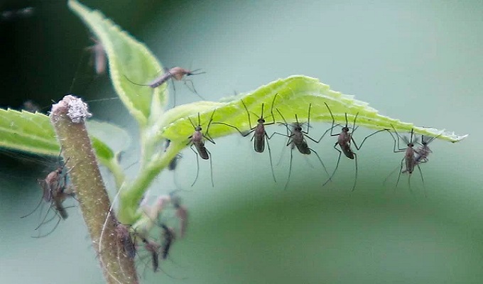 প্রতীকী ছবি।
