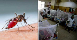 ডেঙ্গু আক্রান্ত আরও ২০০ জন হাসপাতালে ভর্তি