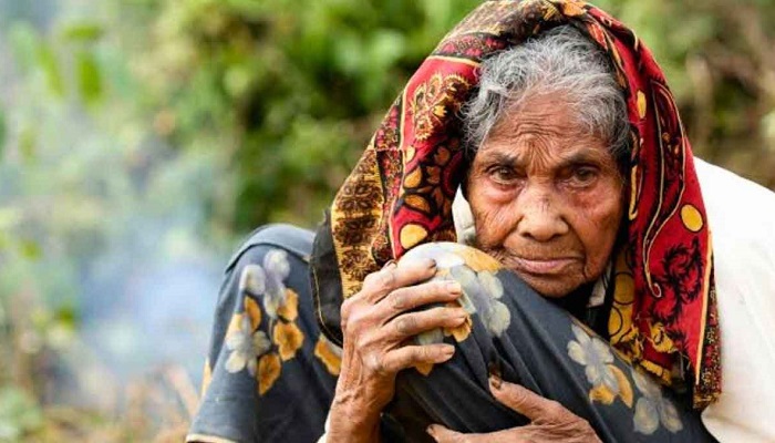 সংগৃহীত ছবি