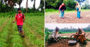 শীতকালীন শাকসবজি চাষে ব্যস্ত বগুড়ার কৃষকরা