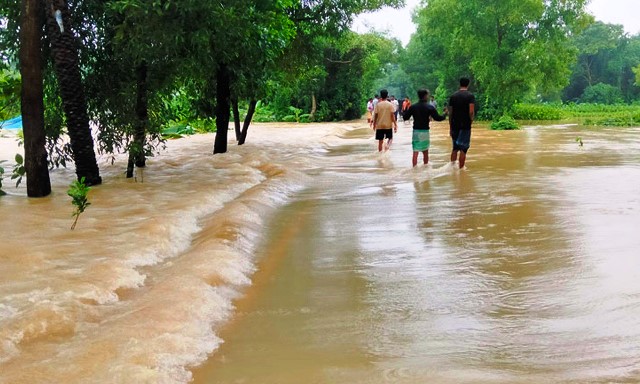সংগৃহীত ছবি