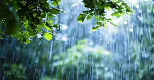রাজধানীতে ভ্যাপসা গরম থাকবে আরও ৪-৫ দিন