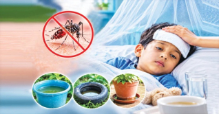 ডেঙ্গু জ্বর হলে কী করবেন? কী করবেন না