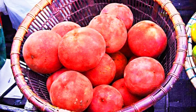সংগৃহীত ছবি