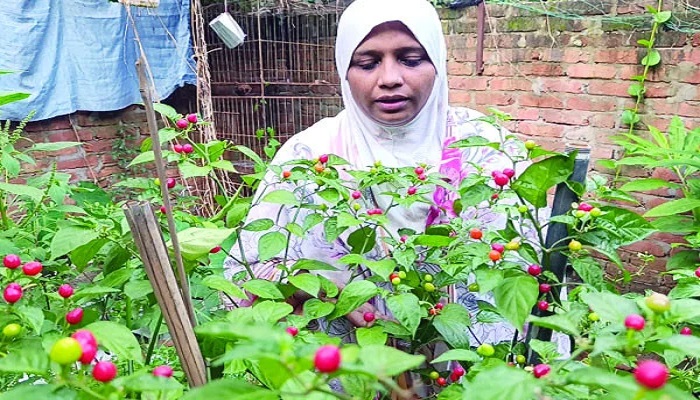 সংগৃহীত ছবি