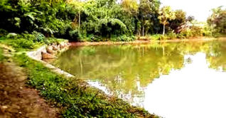 আড়াইহাজারে পুকুরে ডুবে ৪ শিশুর মৃত্যু