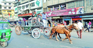 দুই শতাব্দী কি ছুঁতে পারবে পুরান ঢাকার টমটম?
