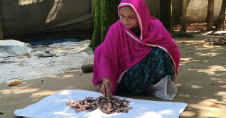 জর্দার কৌটায় ১০ বছরের সঞ্চয়, খুলে দেখলেন সব শেষ