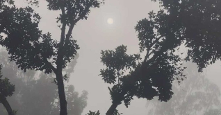 ১৭ ডিগ্রিতে নামল পঞ্চগড়ের তাপমাত্রা, বাড়ছে শীতের অনুভূতি