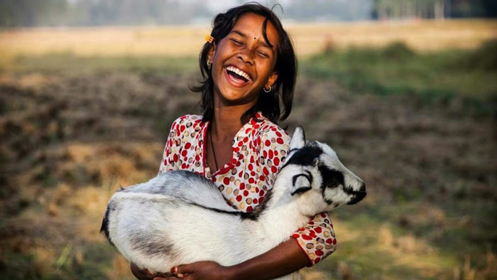 প্রতীকী ছবি।